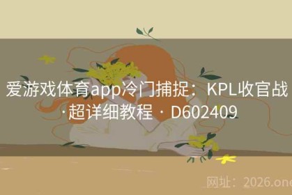 爱游戏体育app冷门捕捉：KPL收官战·超详细教程 · D602409
