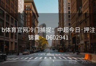 b体育官网冷门捕捉：中超今日·押注锦囊 · D602941