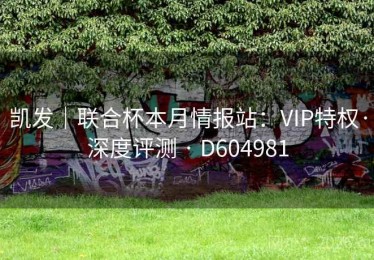 凯发｜联合杯本月情报站：VIP特权·深度评测 · D604981