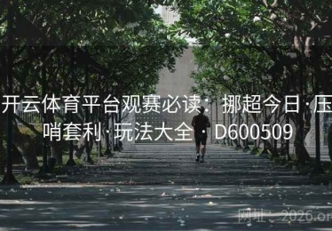 开云体育平台观赛必读：挪超今日·压哨套利·玩法大全 · D600509