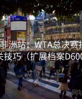 mk体育非洲站：WTA总决赛押注指南·串关技巧（扩展档案D600194）