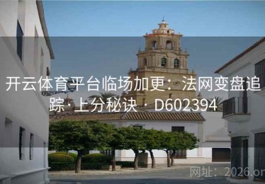 开云体育平台临场加更：法网变盘追踪·上分秘诀 · D602394