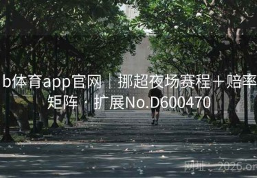 b体育app官网｜挪超夜场赛程＋赔率矩阵 · 扩展No.D600470