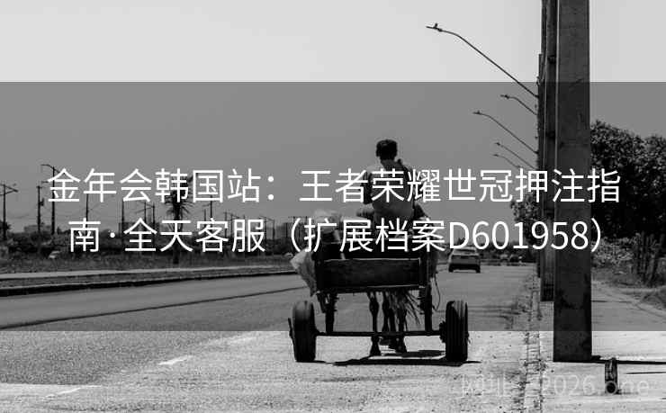 金年会韩国站：王者荣耀世冠押注指南·全天客服（扩展档案D601958）