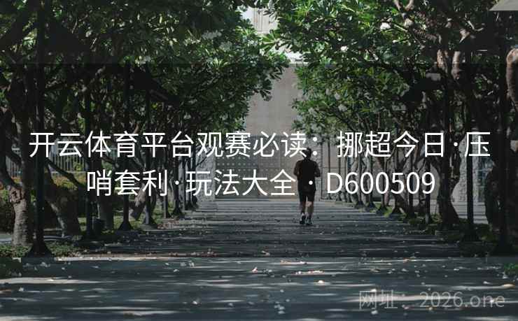 开云体育平台观赛必读：挪超今日·压哨套利·玩法大全 · D600509